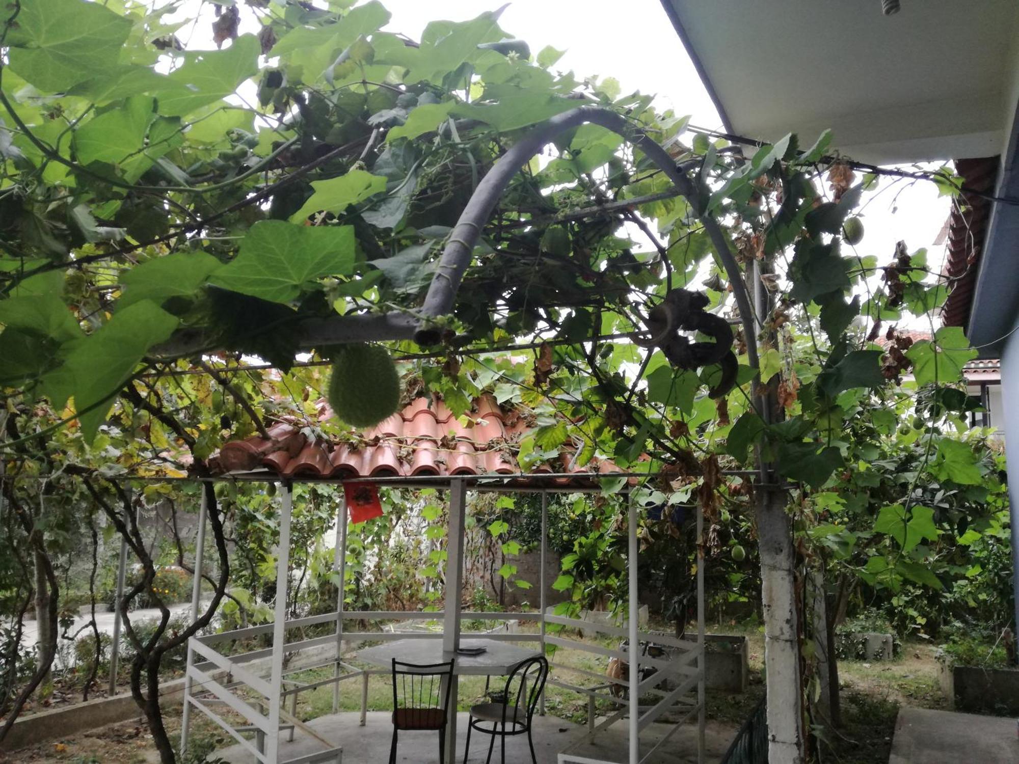 Villa Osmani Durrës 外观 照片