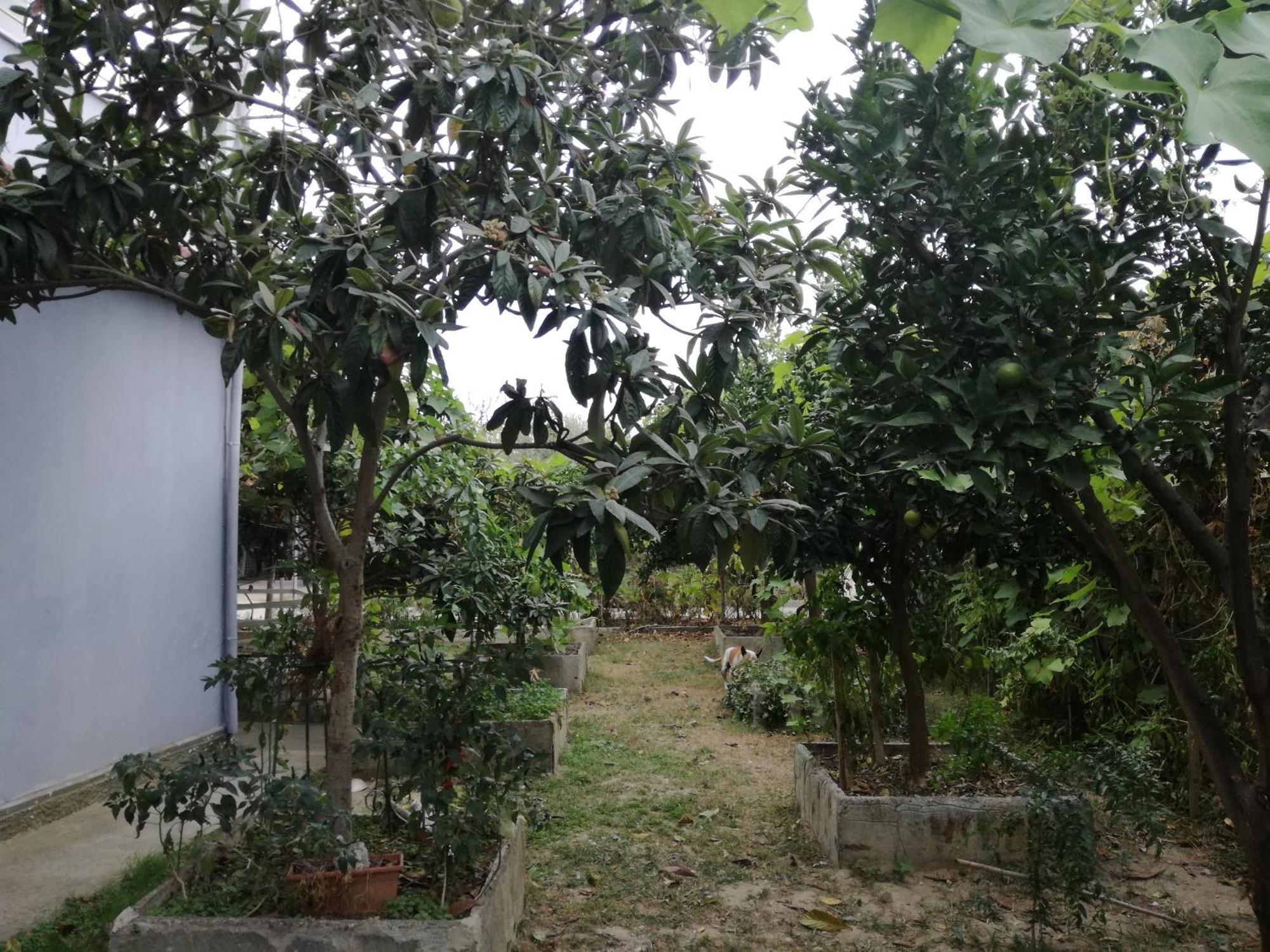 Villa Osmani Durrës 外观 照片